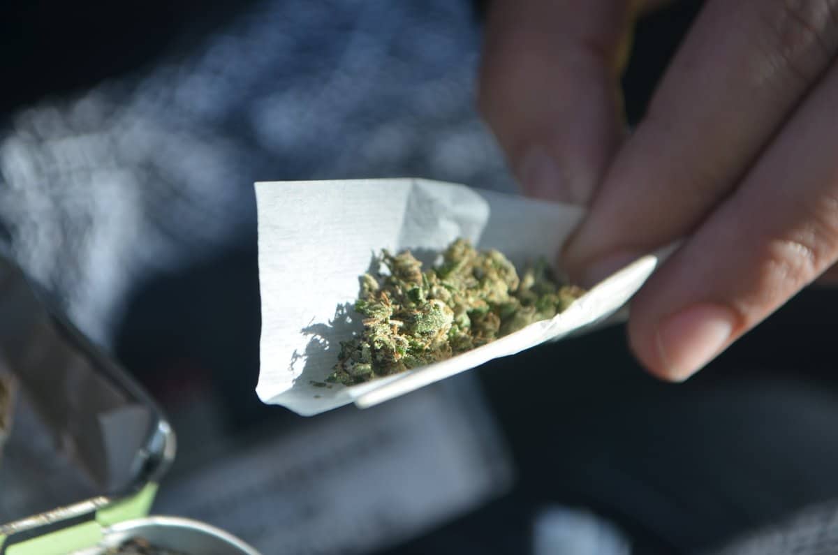 La Germania legalizza la cannabis